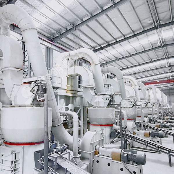 Modern Raymond mill in industrial setting