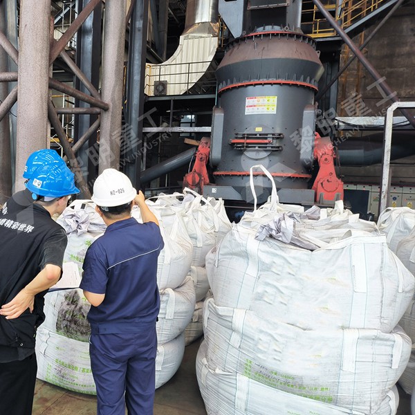 Vertical roller mill for GCC plant